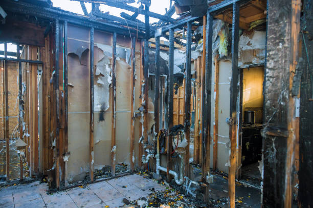 Professional Fire Damage Removal technician working in Nederland, TX
